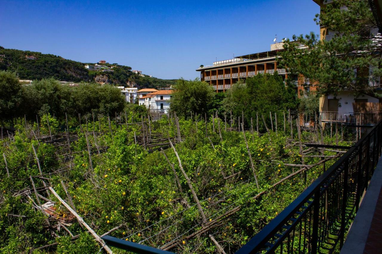 Flower'S Home Sorrento Dış mekan fotoğraf