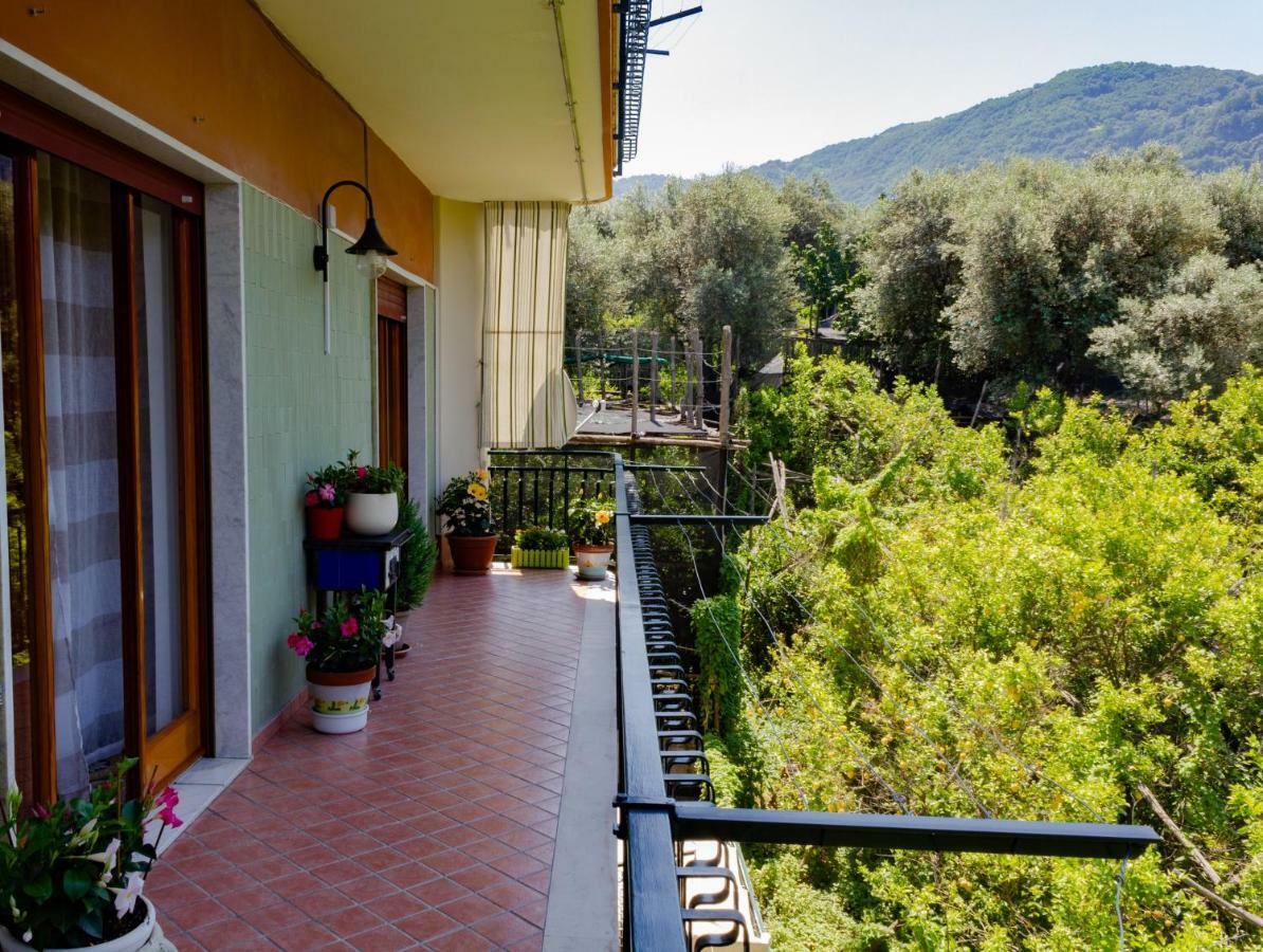 Flower'S Home Sorrento Dış mekan fotoğraf